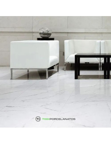 Bianco Apuano Pulido Eco 60x60